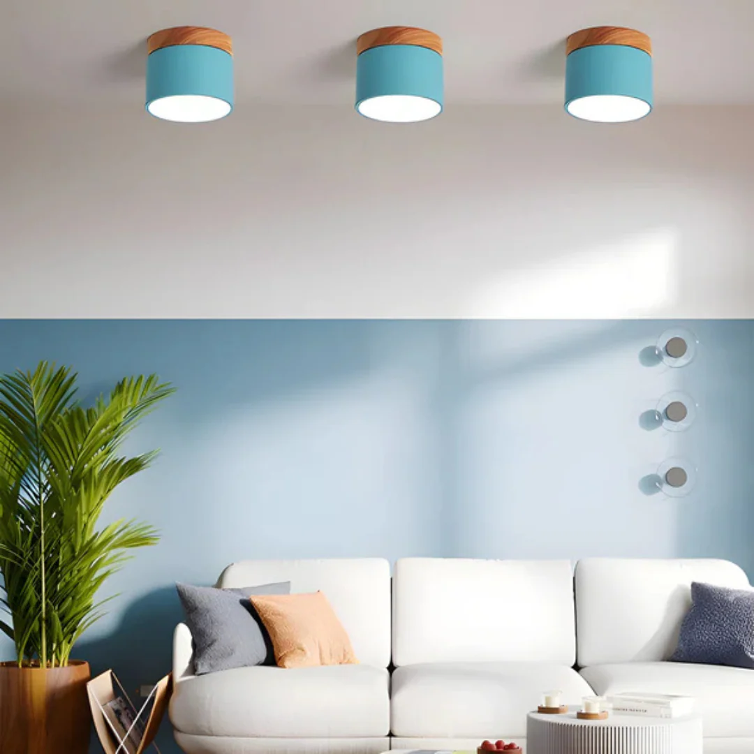 Vesta - Vintage LED Plafondlamp - Image 3