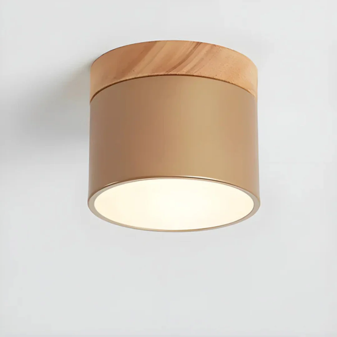 Vesta - Vintage LED Plafondlamp - Image 7
